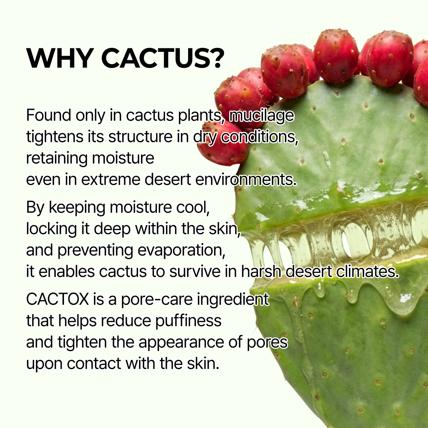 CACTOX Pore Relief Jelly Toner 60 Pads